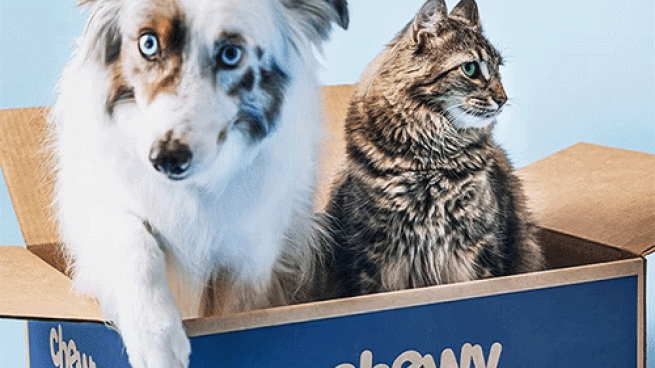 Chewy box with a cute dog and cat