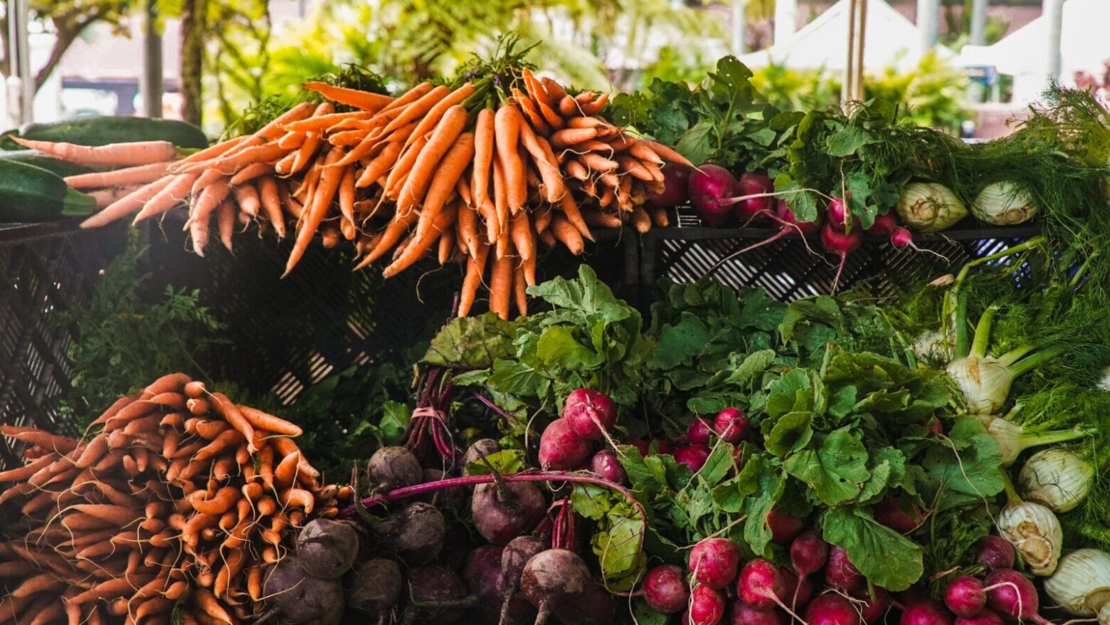 summer vegetables at a farmer's market make good starting ingredients for easy healthy Paleo recipes